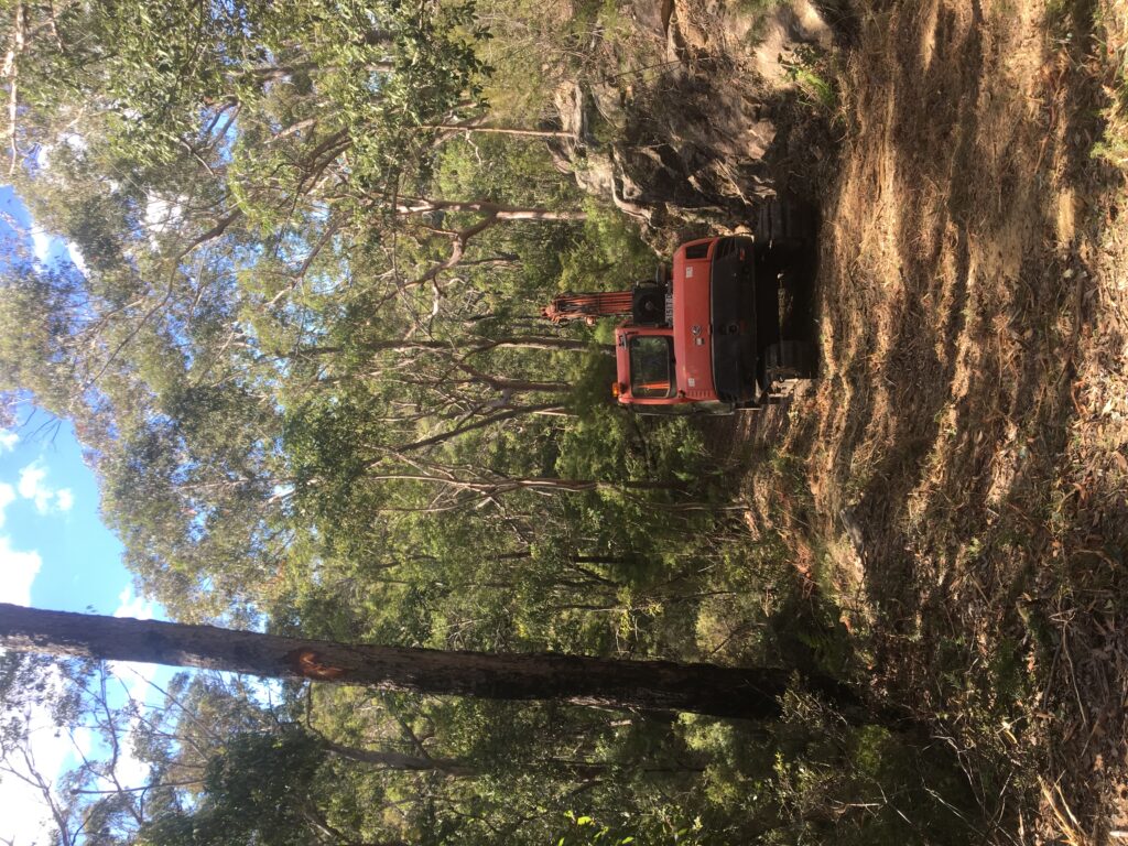 Clearing a Fire Trail at Sydney NSW